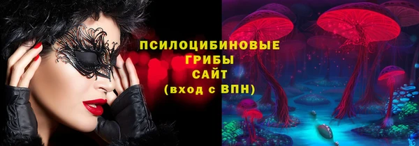 стафф Аркадак