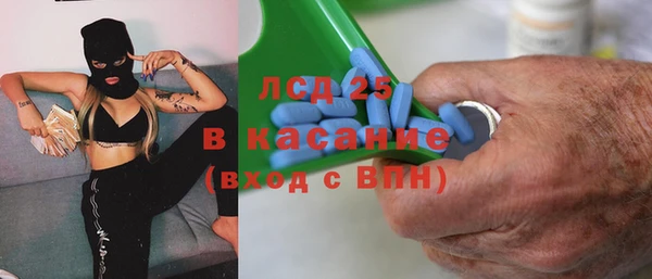 стафф Аркадак