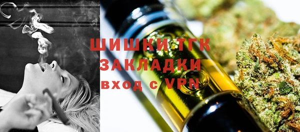 стафф Аркадак